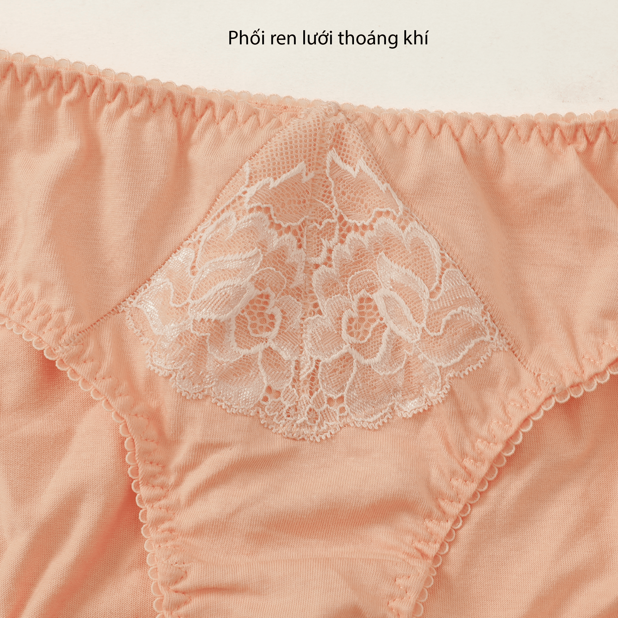 Combo 02-06-10 quần lót nữ chất cotton siêu mát 027p 7473