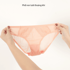 Combo 02-06-10 quần lót nữ voal lưới 077p 7475