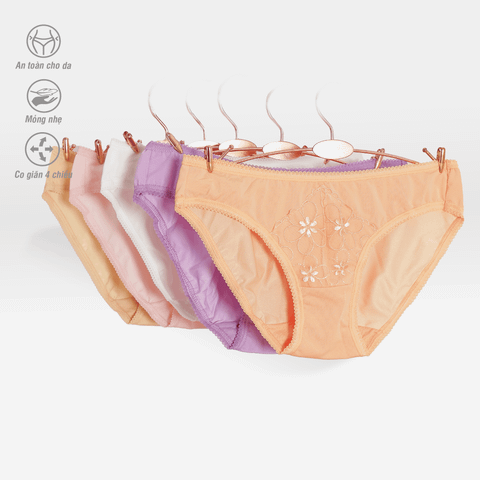 Combo 02-06-10 quần lót nữ chất thun lạnh siêu bền 017p 7468