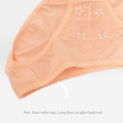 Combo 02-06-10 quần lót nữ chất thun lạnh siêu bền 017p 7468