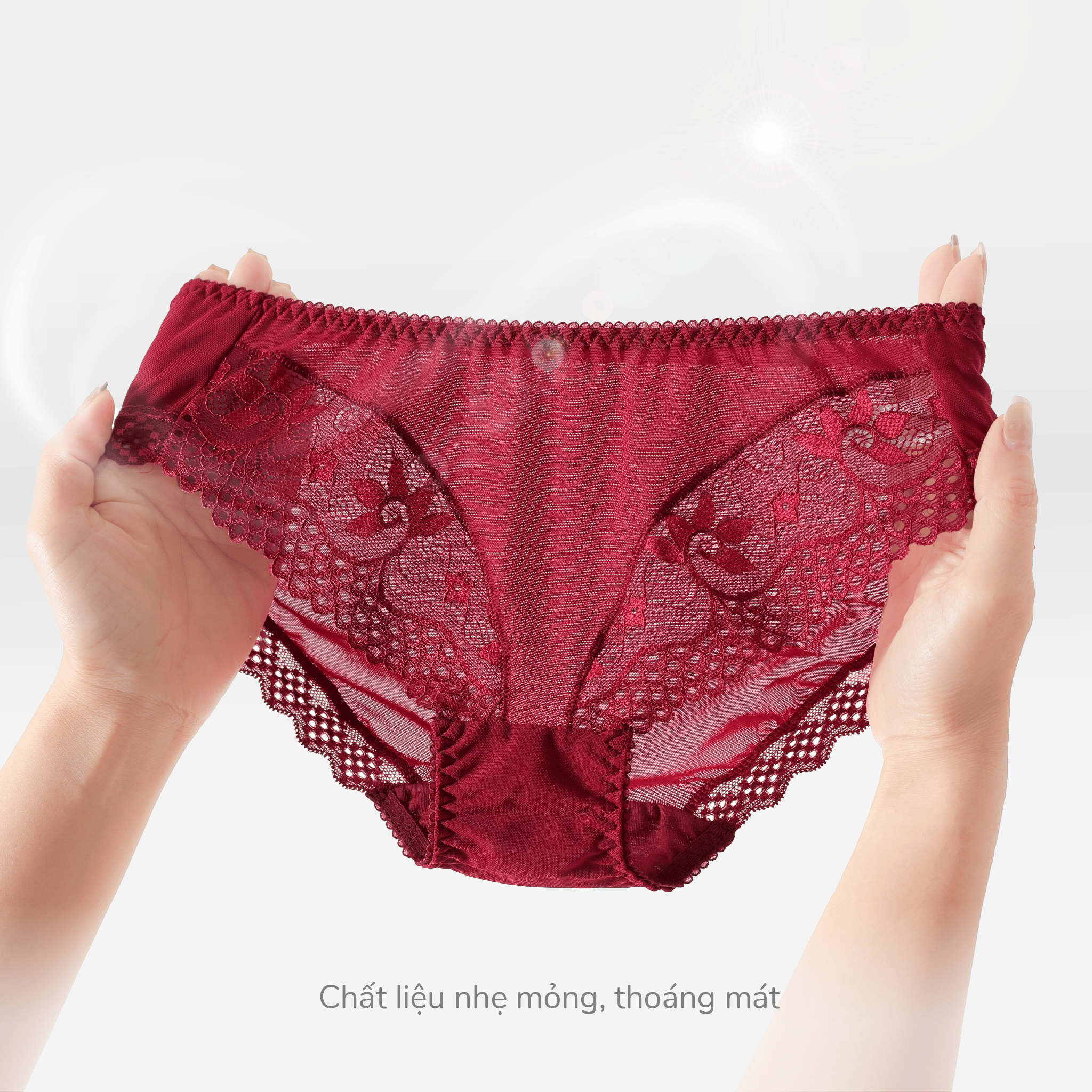 Combo 02 quần lót nữ chất voal lưới 077p 7419