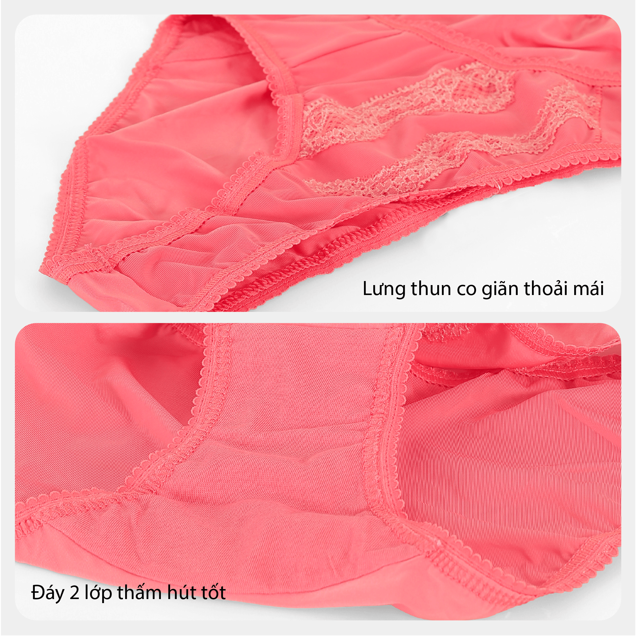 Combo 02-06-10 quần lót nữ chất thun lạnh siêu bền 017p 7490