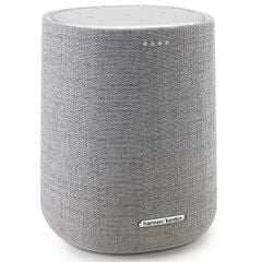 Loa Harman Kardon Citation 100