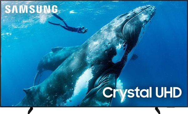 TV Samsung 98-inch 4K DU9000 2024