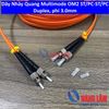 Dây Nhảy Quang Multimode OM2 ST/PC-ST/PC Duplex - Chiều dài theo yêu cầu
