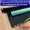 Patch panel CAT3 Cổng RJ45 25 Port, 19