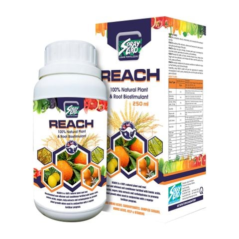  REACH - Chai 250ml - NND-NKR02 