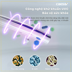 Nắp bàn cầu CAESAR TAF512H