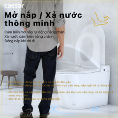 Bàn cầu điện tử CAESAR CA1389H
