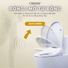 Nắp bàn cầu CAESAR TAF610H