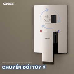 Sen tắm âm tường CAESAR BS659