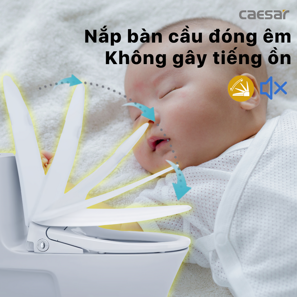 Nắp bàn cầu CAESAR TAF710H