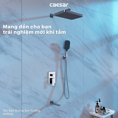 Sen tắm âm tường CAESAR BS659
