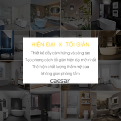 Sen tắm âm tường CAESAR BS659