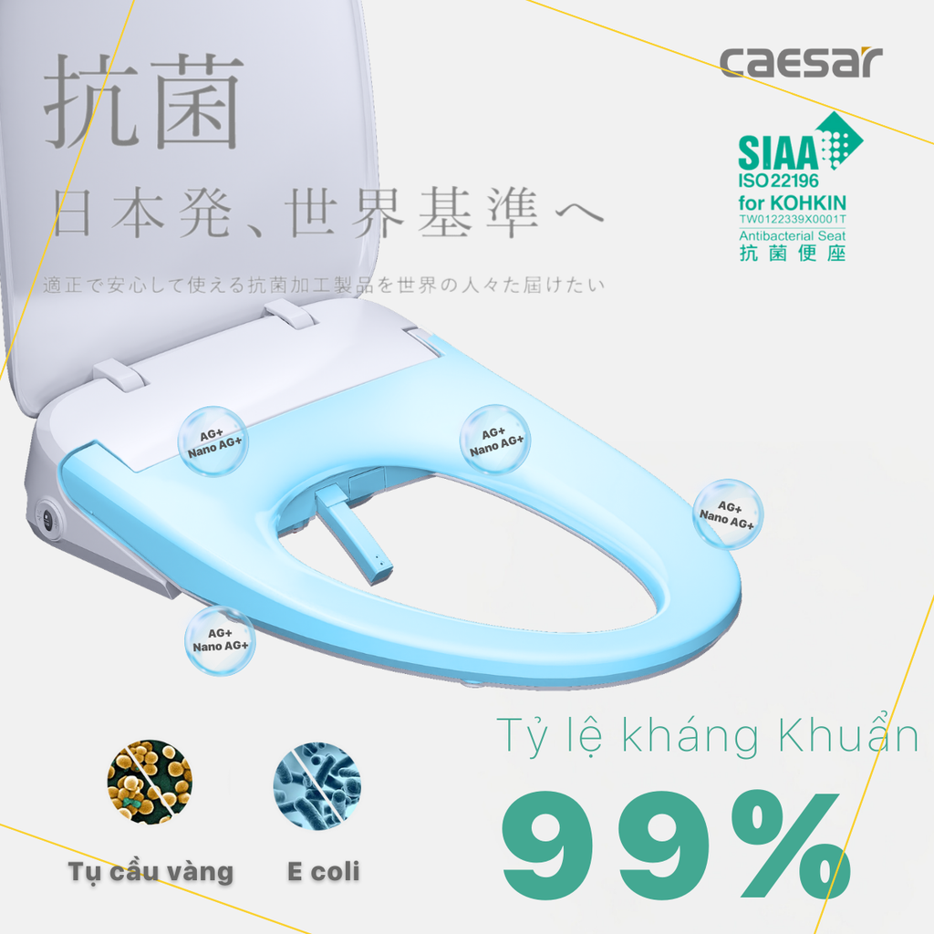 Nắp bàn cầu CAESAR TAF610H