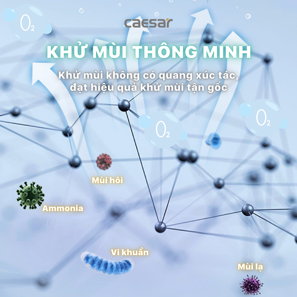 Nắp bàn cầu CAESAR TAF710H