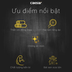 Sen tắm âm tường CAESAR BS659