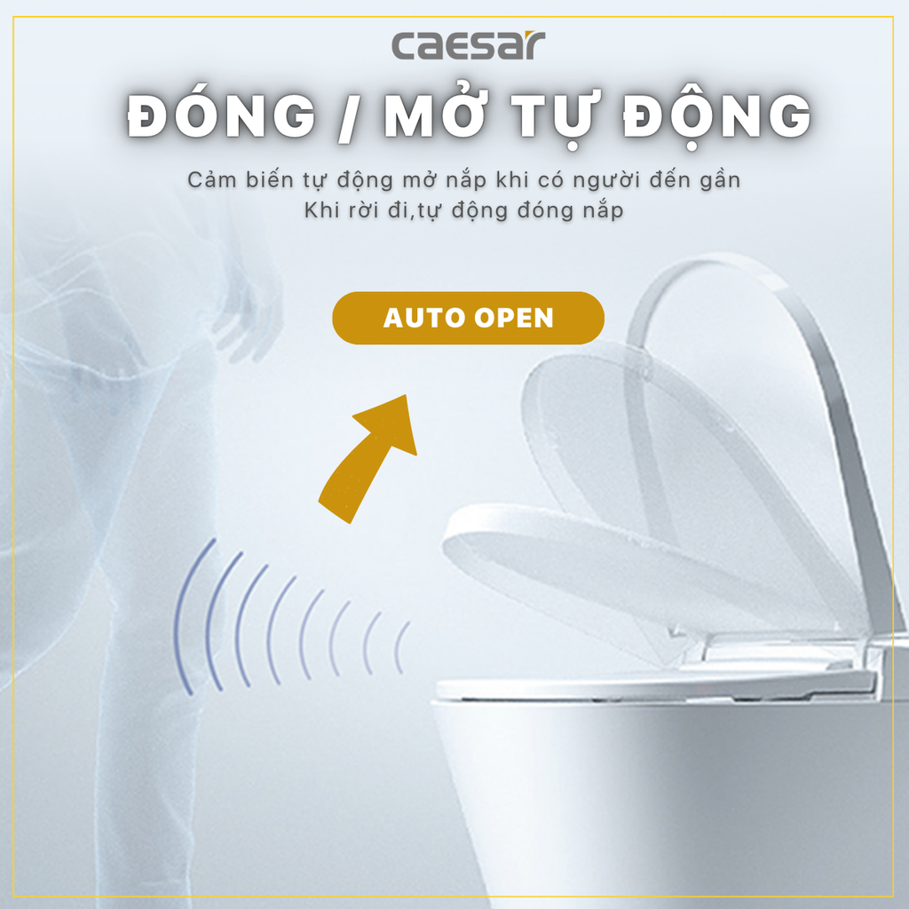 Nắp bàn cầu CAESAR TAF512H