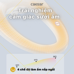 Nắp bàn cầu CAESAR TAF610H