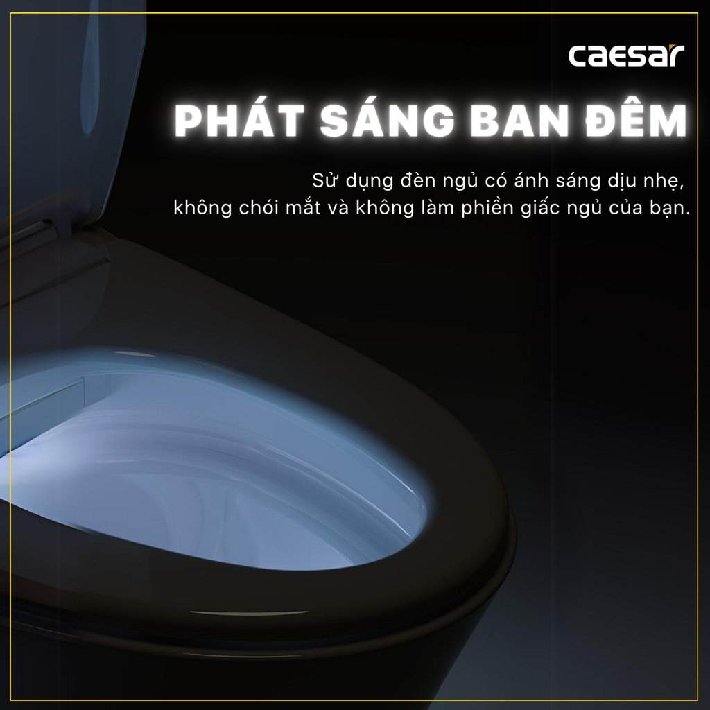 Nắp bàn cầu CAESAR TAF512H