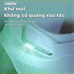 Nắp bàn cầu CAESAR TAF512H