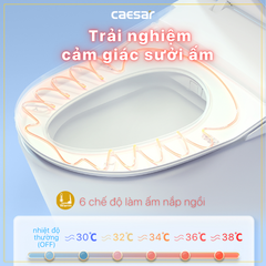 Nắp bàn cầu CAESAR TAF710H
