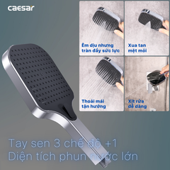 Sen tắm âm tường CAESAR BS659