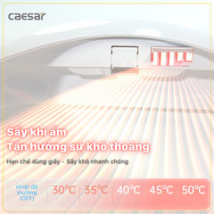 Nắp bàn cầu CAESAR TAF710H