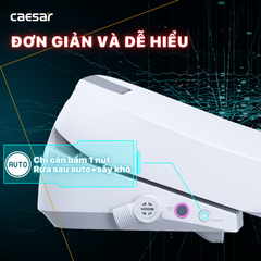 Nắp bàn cầu CAESAR TAF610H