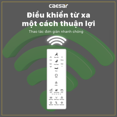 Nắp bàn cầu CAESAR TAF512H