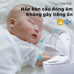 Nắp bàn cầu CAESAR TAF610H