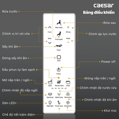 Nắp bàn cầu CAESAR TAF512H