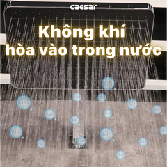 Sen tắm âm tường CAESAR BS659