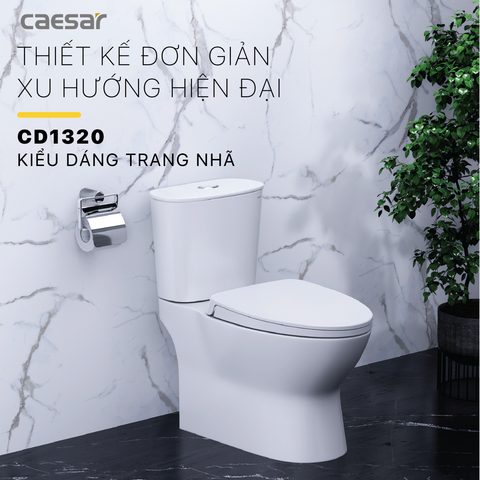 Bàn cầu hai khối + Nắp rửa cơ CAESAR CD1320+TAF060