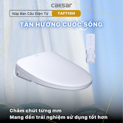 Nắp bàn cầu CAESAR TAF710H