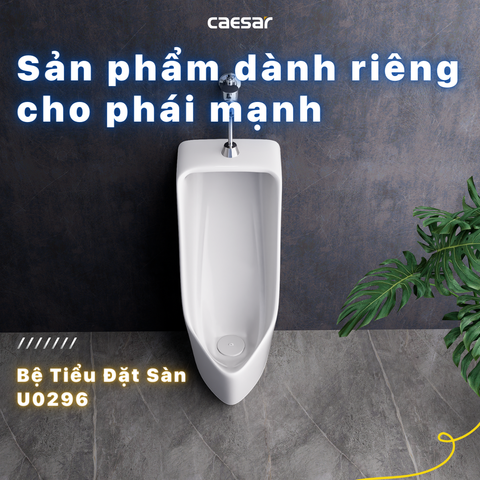 Bồn tiểu đặt sàn CAESAR U0296