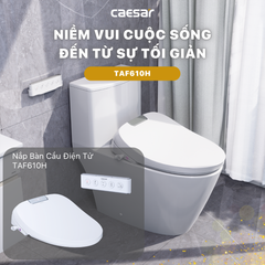 Nắp bàn cầu CAESAR TAF610H