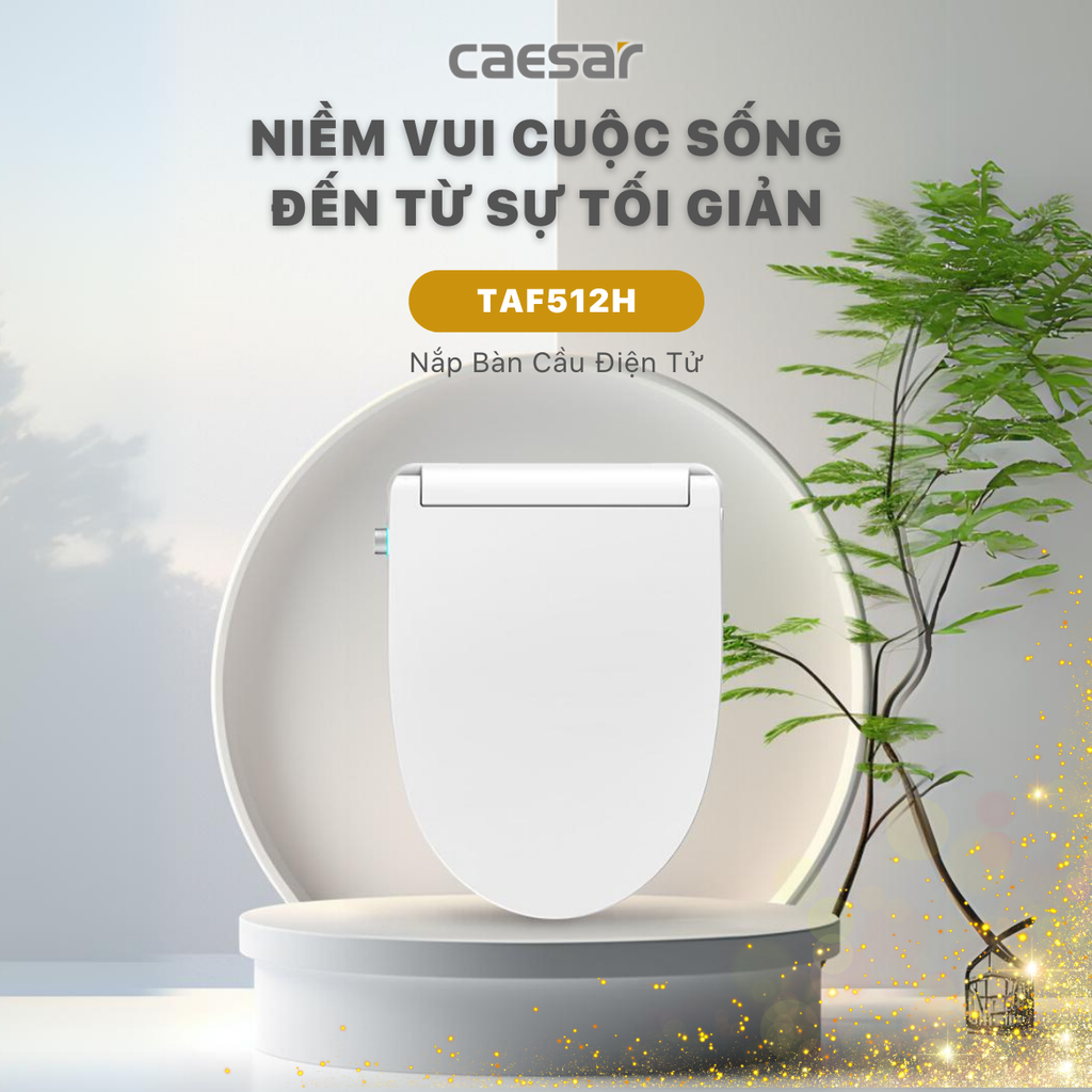 Nắp bàn cầu CAESAR TAF512H
