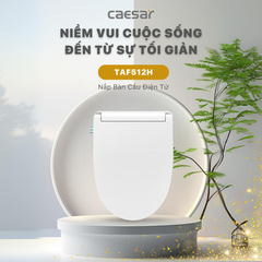Nắp bàn cầu CAESAR TAF512H