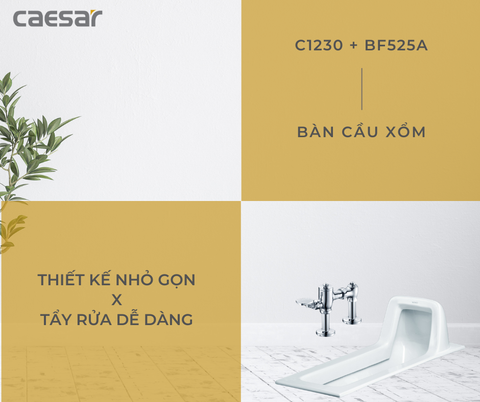 Bộ xả gạt tay bàn cầu CAESAR BF525A