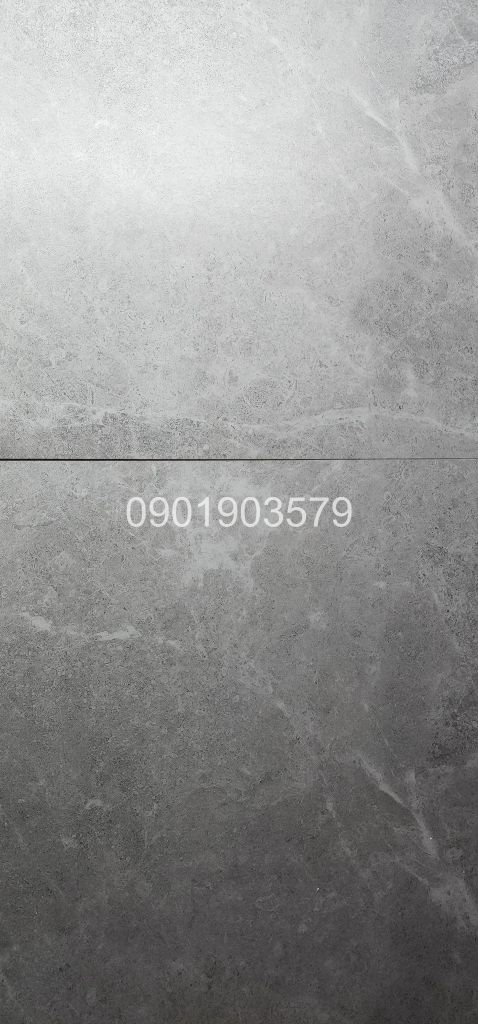 Gạch 60x60 CMC PT61002M