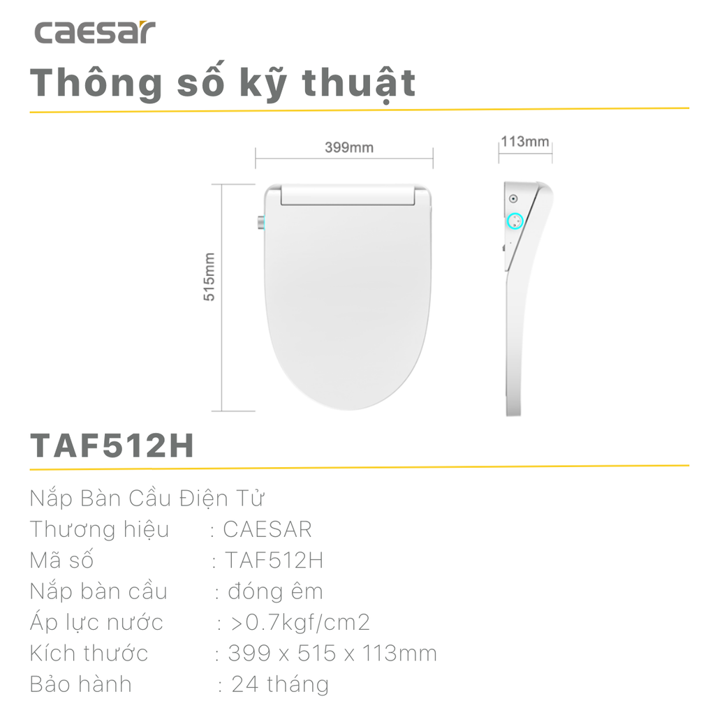 Nắp bàn cầu CAESAR TAF512H