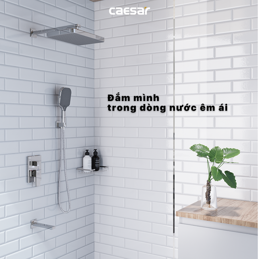 Sen tắm âm tường CAESAR BS659