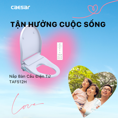 Nắp bàn cầu CAESAR TAF512H