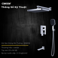 Sen tắm âm tường CAESAR BS659