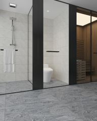 Gạch 30x30 Đồng Tâm 3030GECKO006