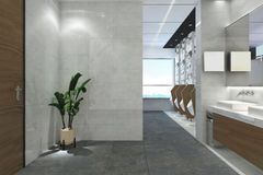 Gạch 30x60 Đồng Tâm 3060CLOUD006