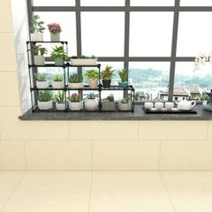 Gạch 30x60 Đồng Tâm 3060GECKO007