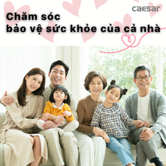 Nắp bàn cầu CAESAR TAF710H