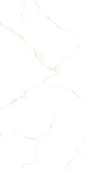 Gạch 40x80 Đồng Tâm 4080CARARAS005-H+